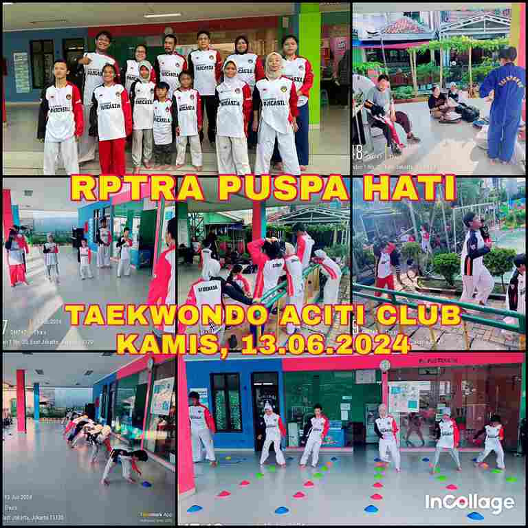 Taekwondo Aciti Club