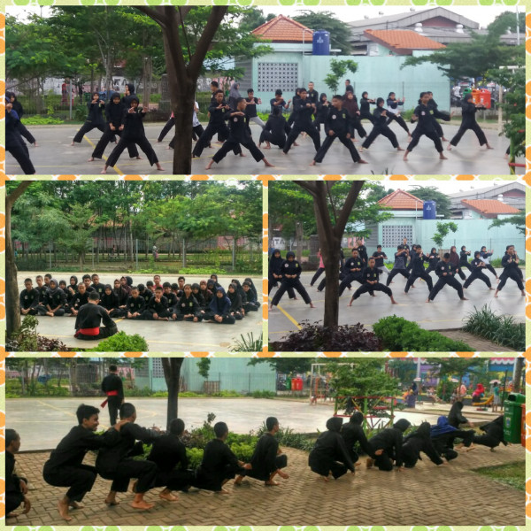 Pencak silat sudin PORA