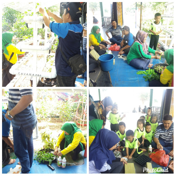 Kunjungan pendampingan Hidroponik dari Dinas KPKP KOTA