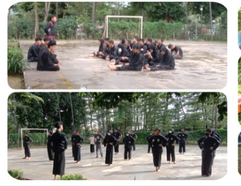 PENCAK SILAT PHS