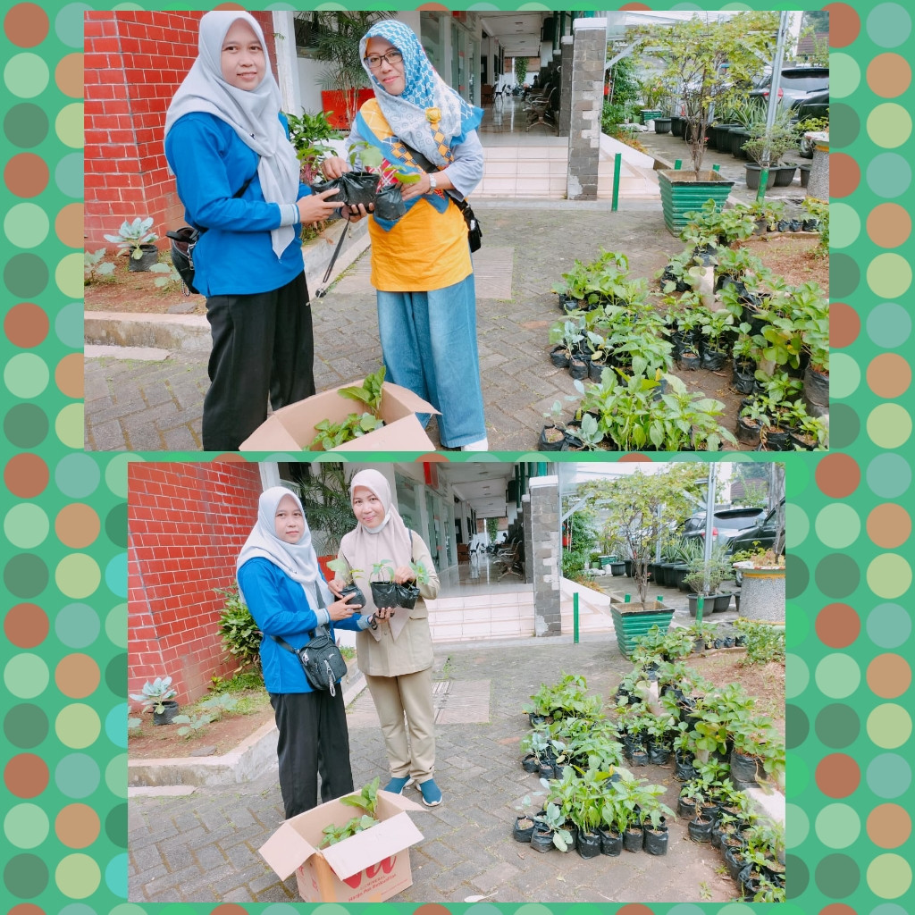 PENERIMAAN BIBIT CABE DARI KPKP