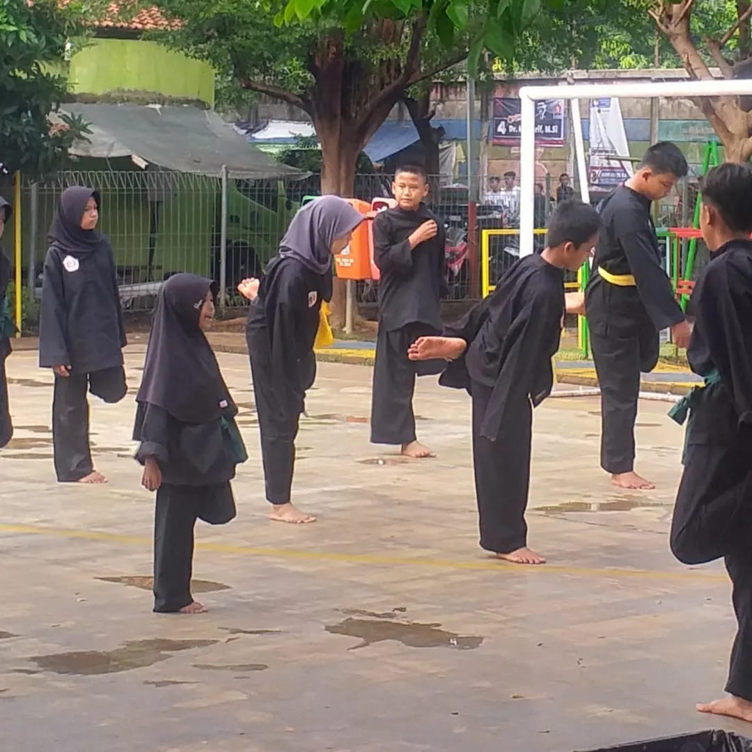 silat panca suka