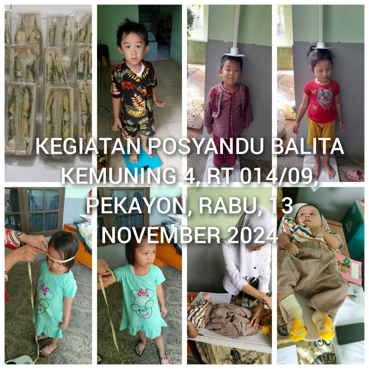 PELAKSANAAN POSYANDU BALITA DAN LANSIA KEMUNING 4 RW 09