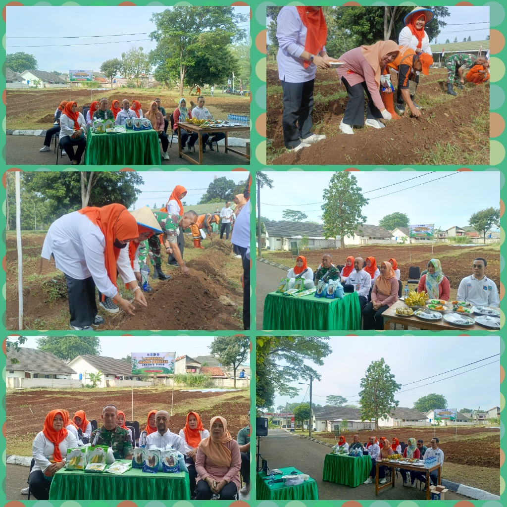 ZOOM SERENTAK TANAM JAGUNG