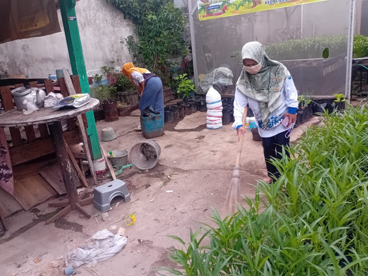 kegiatan Kwt