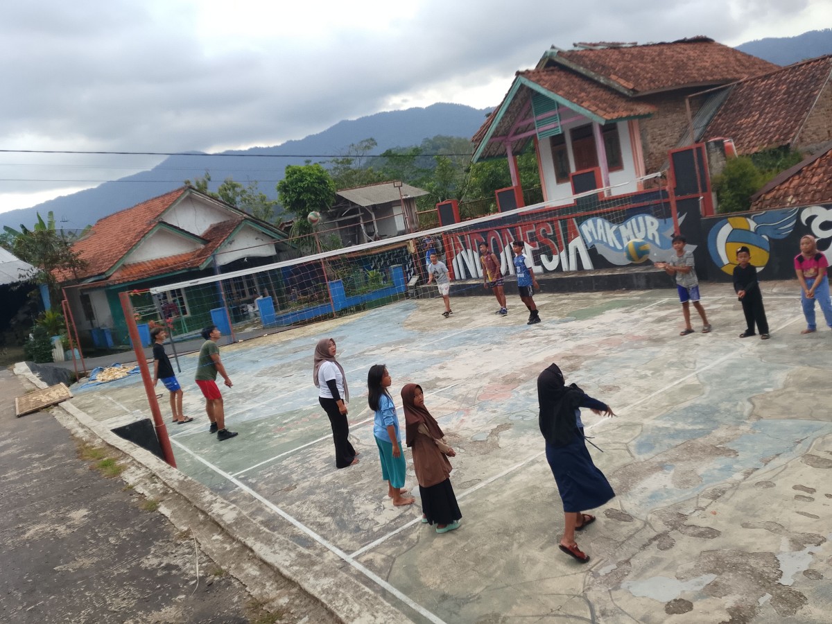Bola volly