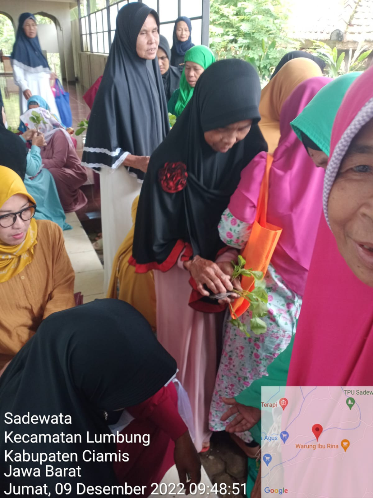 Pembagian bibit tanaman