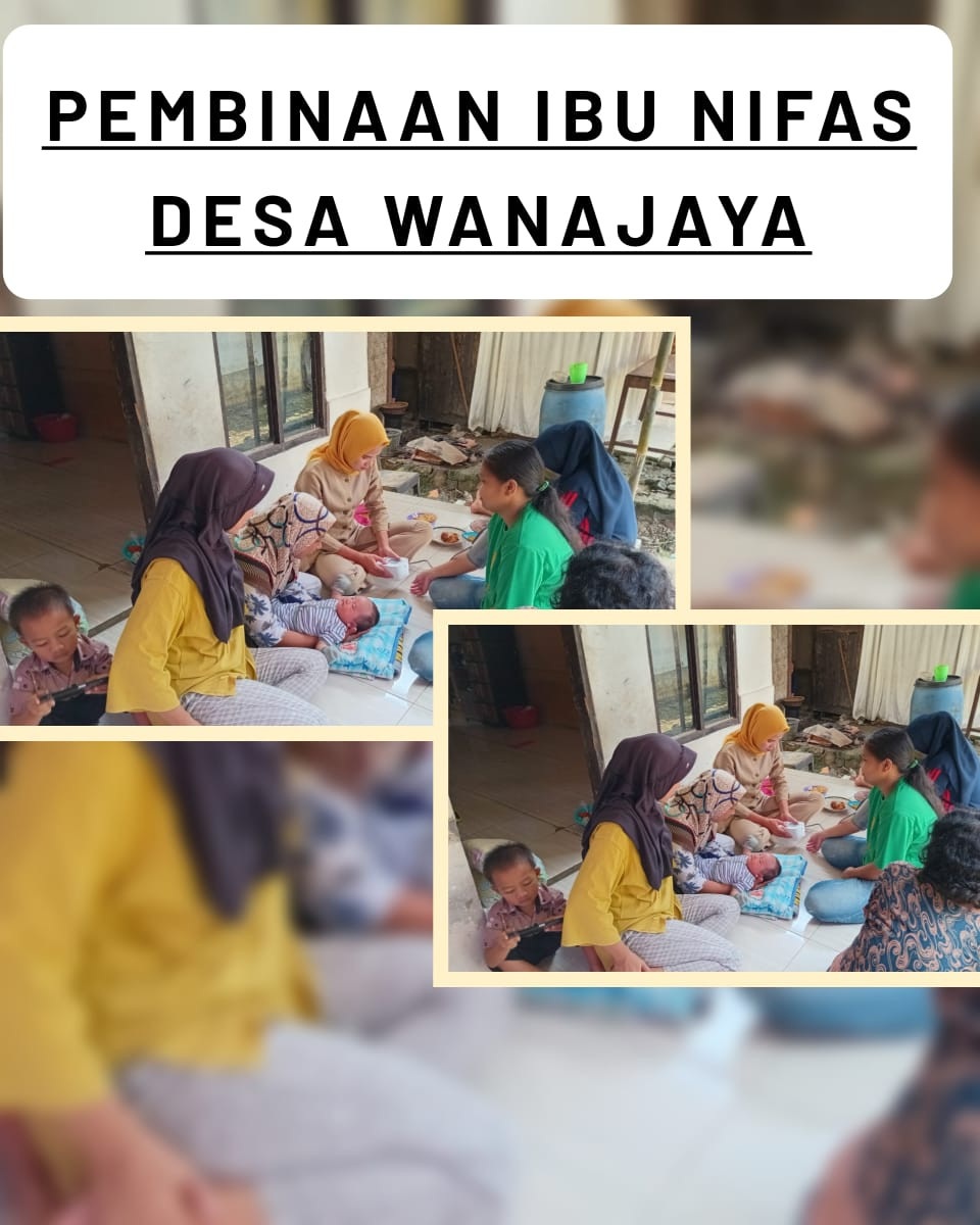 Pendampingan Ibu Pasca Salin