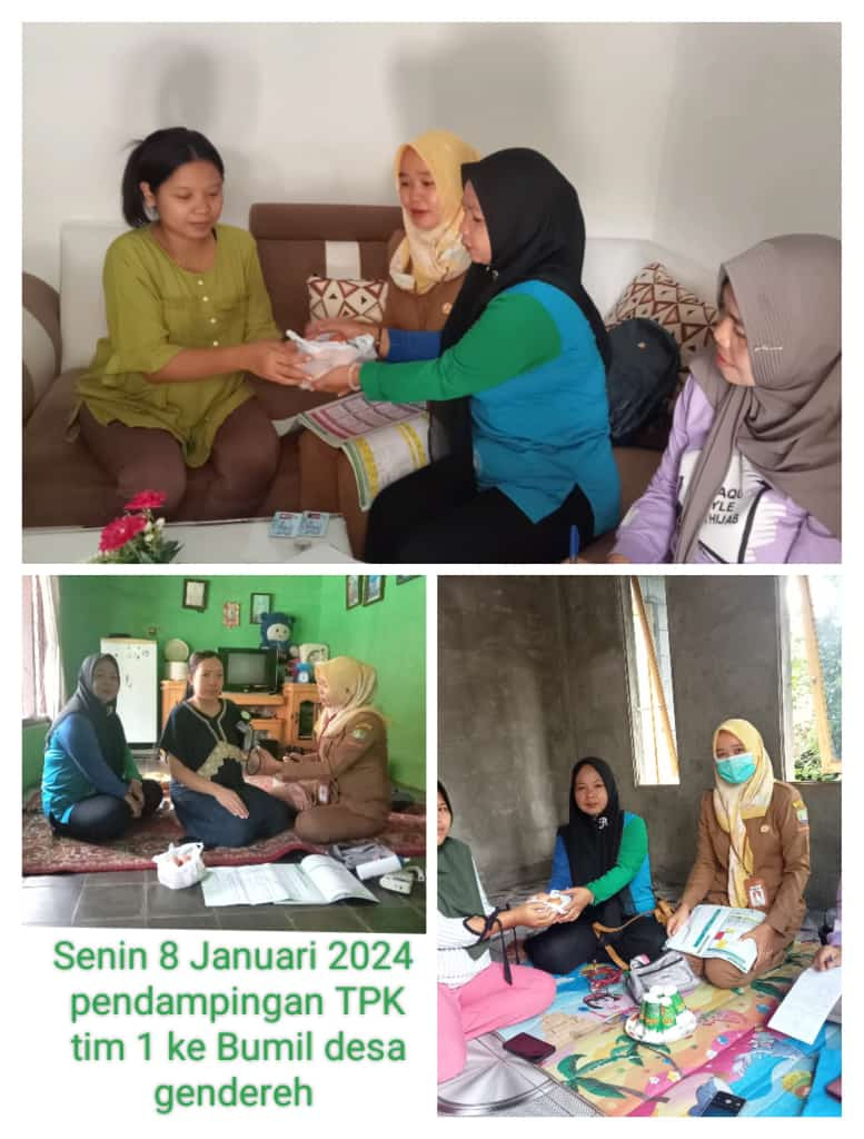 Pendampingan ibu hamil