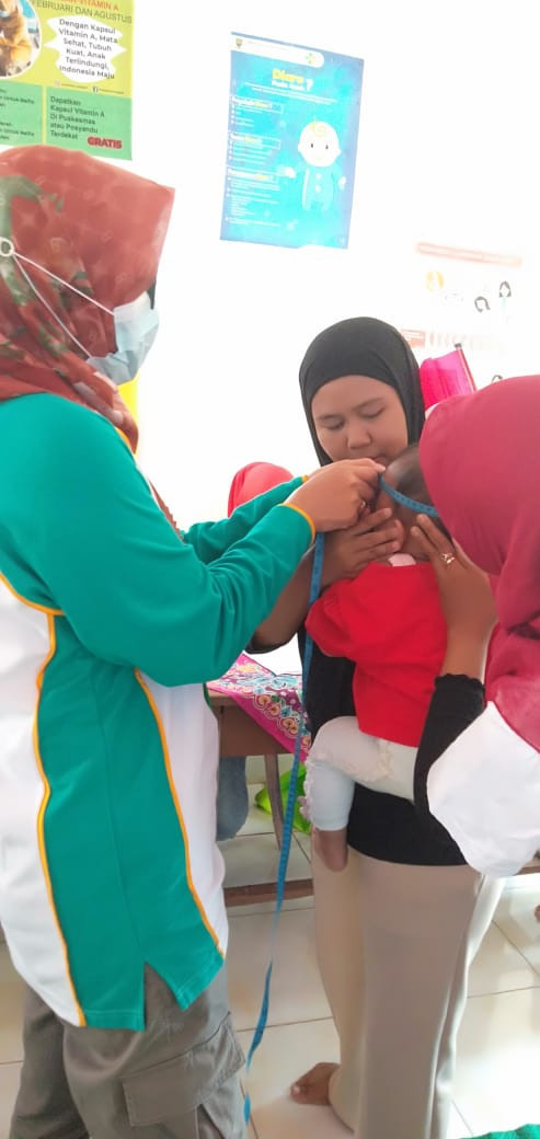 kegiatan Posyandu di rw 02