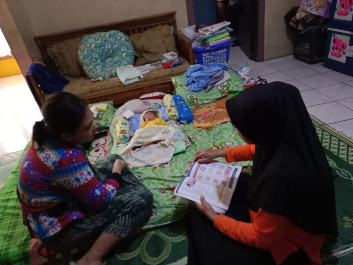 Kunjungan Rumah Ibu Pasca Salin