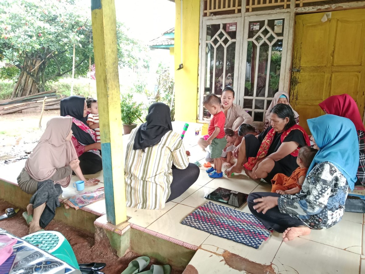 PEMERIKSAAN DAN PENYULUHAN PADA BUMIL