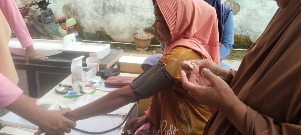 Cek kesehatan bina keluarga lansia bkl