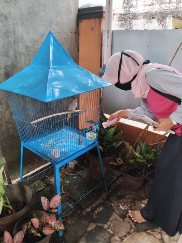 Kegiatan Jumantik