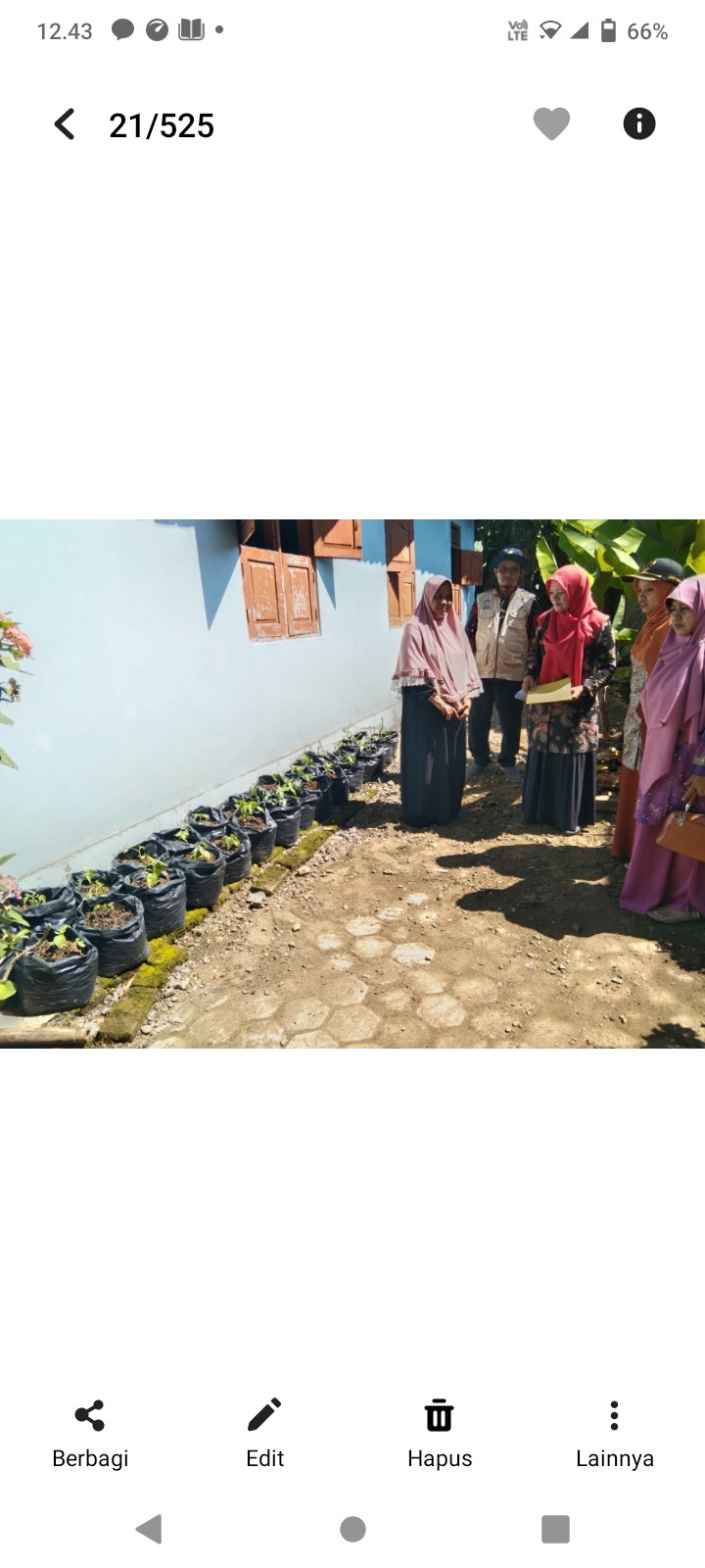 Penilaian ke 1 lomba  menanm cabe dan tomat antar rt se desa mujur lor