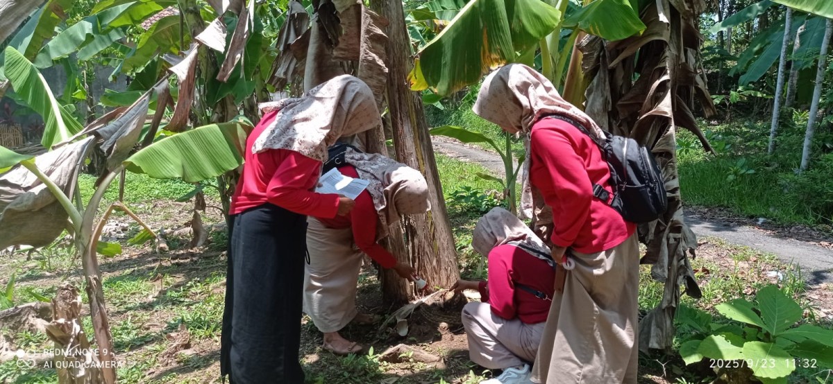 Pemberantasan Sarang Nyamuk
