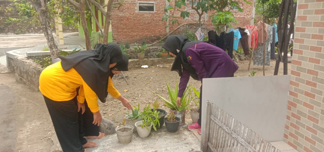 Pemeriksaan lingkungan