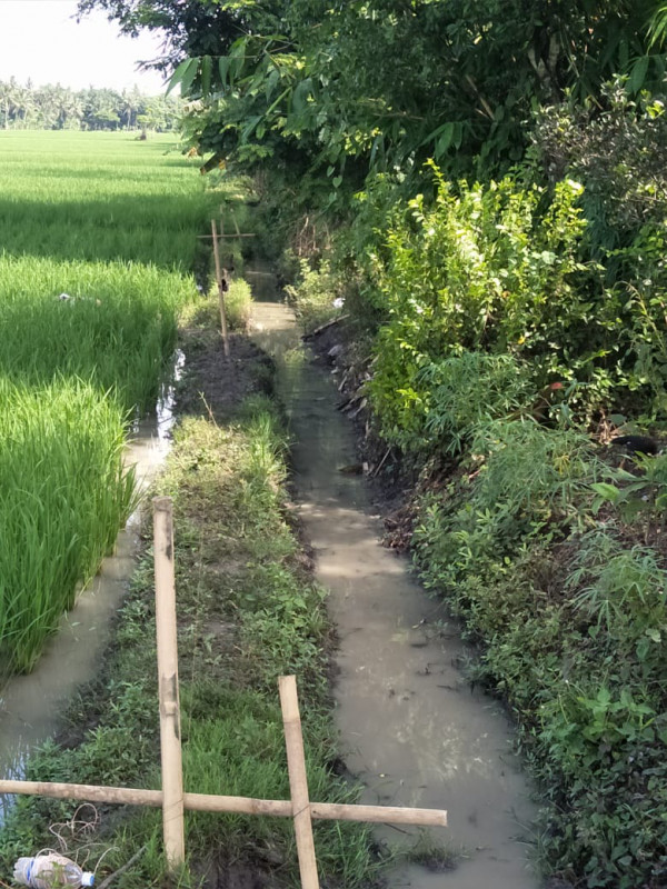 SALURAN IRIGASI SEBAGAI SARANA PENDUKUNG KETAHANAN PANGAN