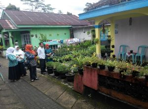 Pemanfaatan halaman rumah untuk tanaman pangan dan obat - mengurangi kerawanan pangan dan meningkatkan ketahanan pangan