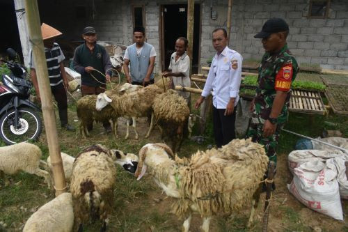 Stimulus ketahanan pangan karang taruna dengan bantuan hewan ternak kambing