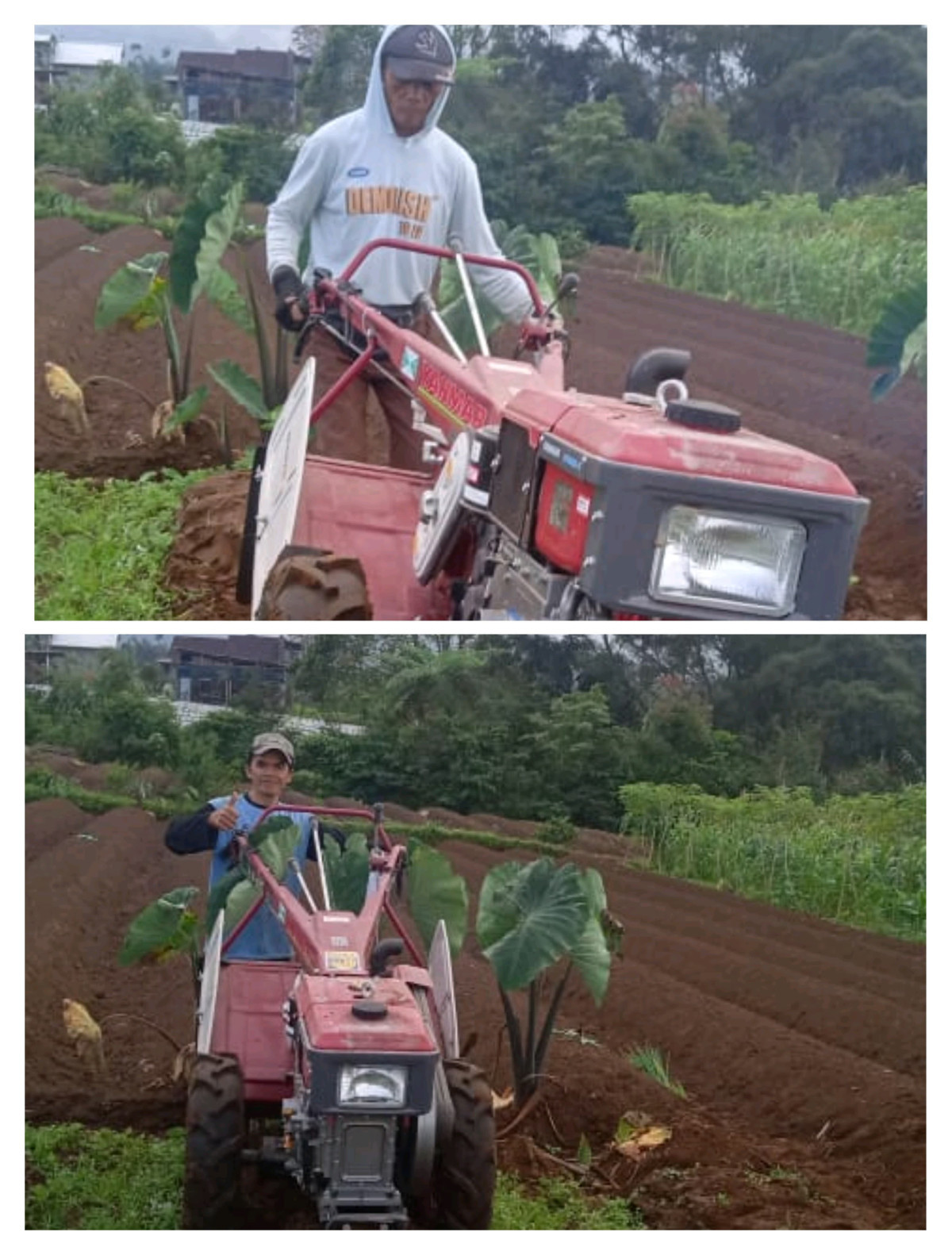 Bantuan Traktor Rotari: Memanfaatkan teknologi modern untuk meningkatkan hasil pertanian