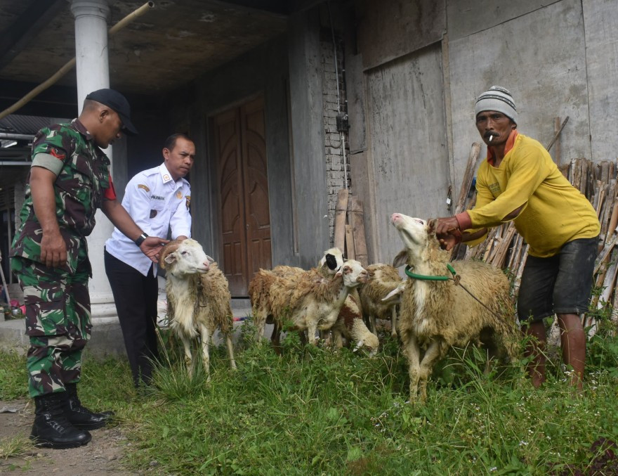 Terkam : Ternak Kambing untuk Karang Taruna - Membangun kepercayaan berwirausaha, pemberdayaan ekonomi komunitas