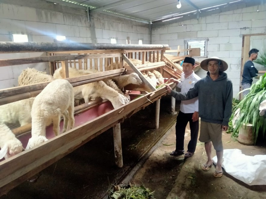 Karang Taruna Goatpreneur: Dari Kambing Menuju Kemandirian Ekonomi