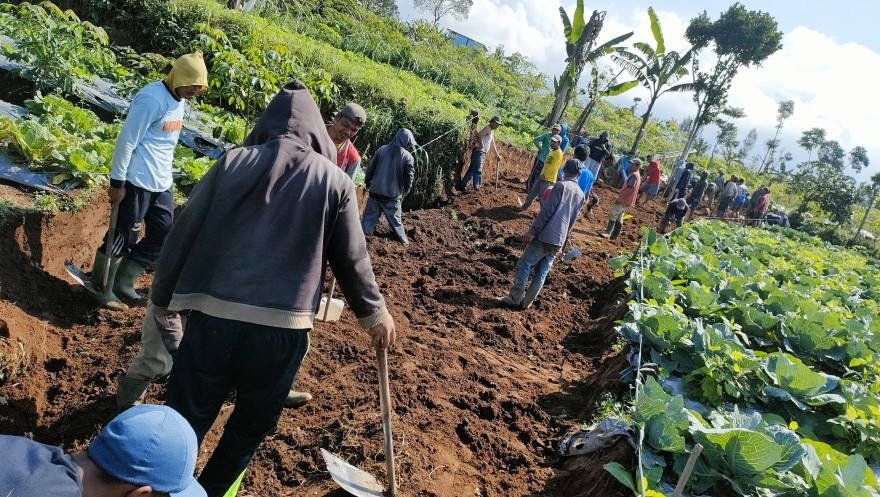 Dari Jalan Setapak ke Jalan Kemakmuran: Revolusi 1 Kilometer yang Mengubah Nasib Petani Madukoro