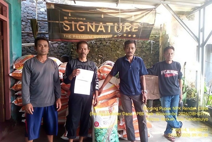Bantuan Pupuk Fertila 10 Ton, KT Berkah Tani Madukoro Sumringah