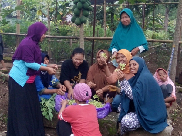PANEM SAYUR DEMPLOT