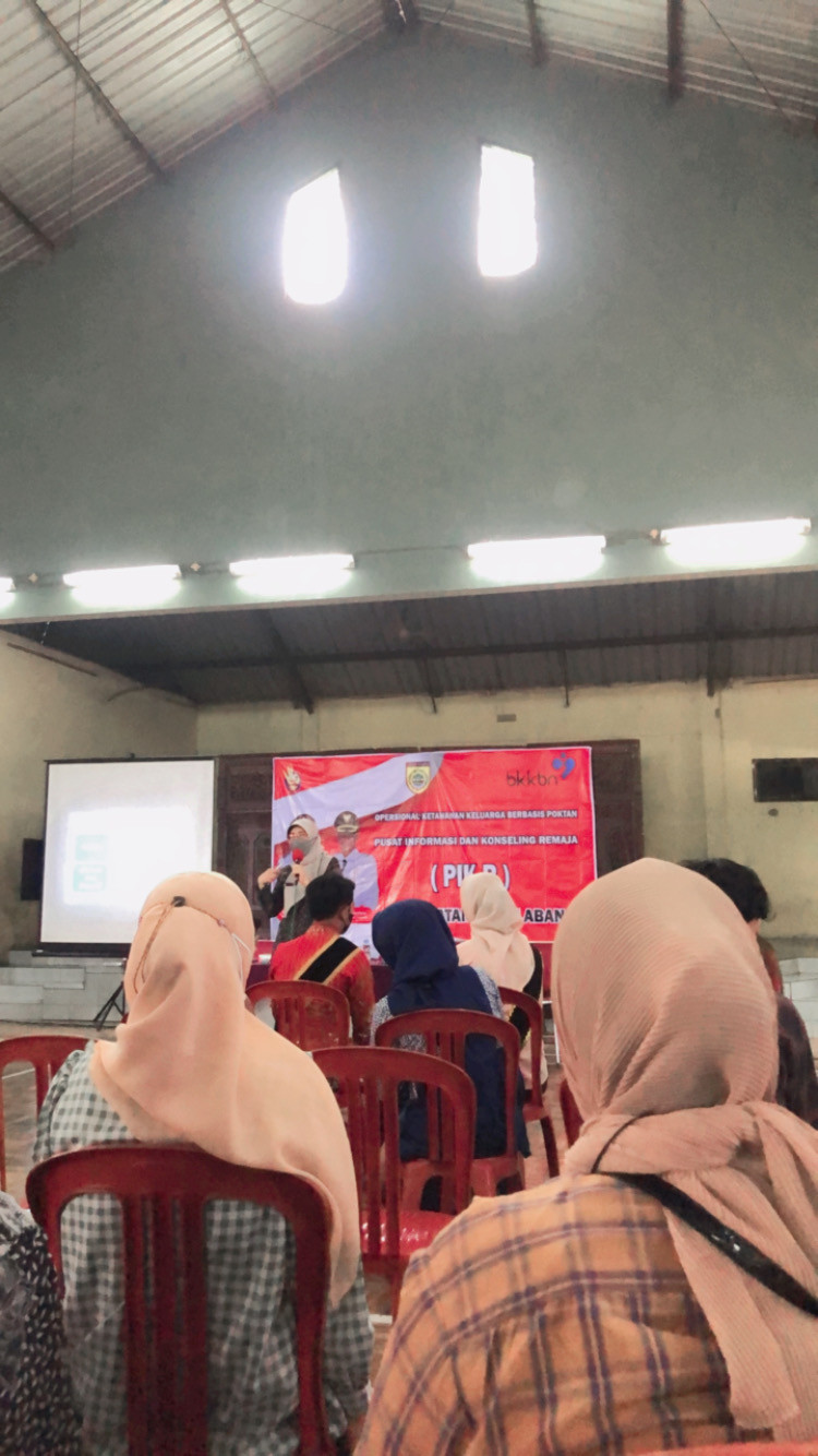 Pertemuan PIK-R