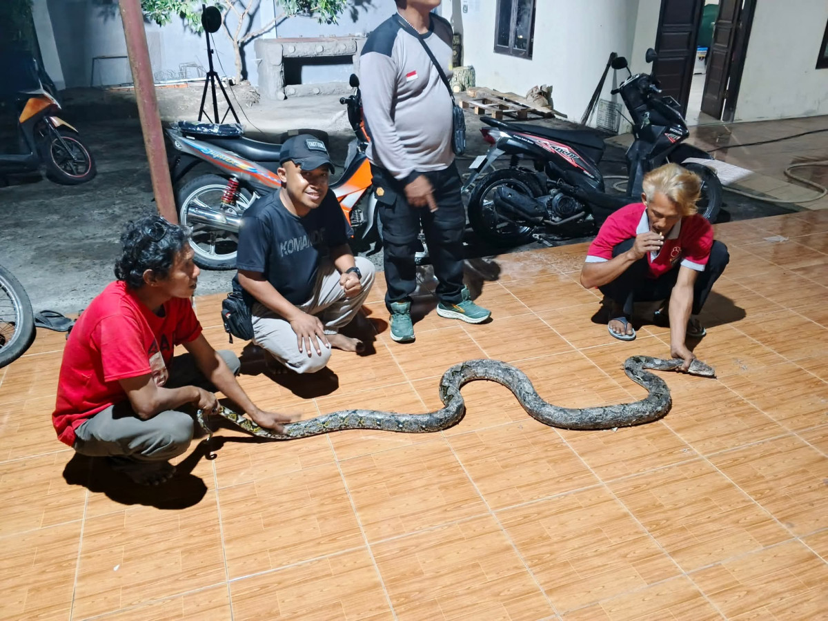 Evakuasi satwa liar di rumah warga RW 03
