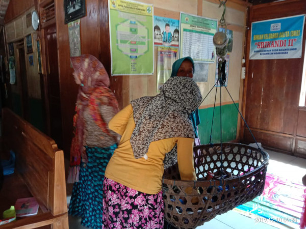 Pelaksanaan Posyandu di Kampung KB Sentosa