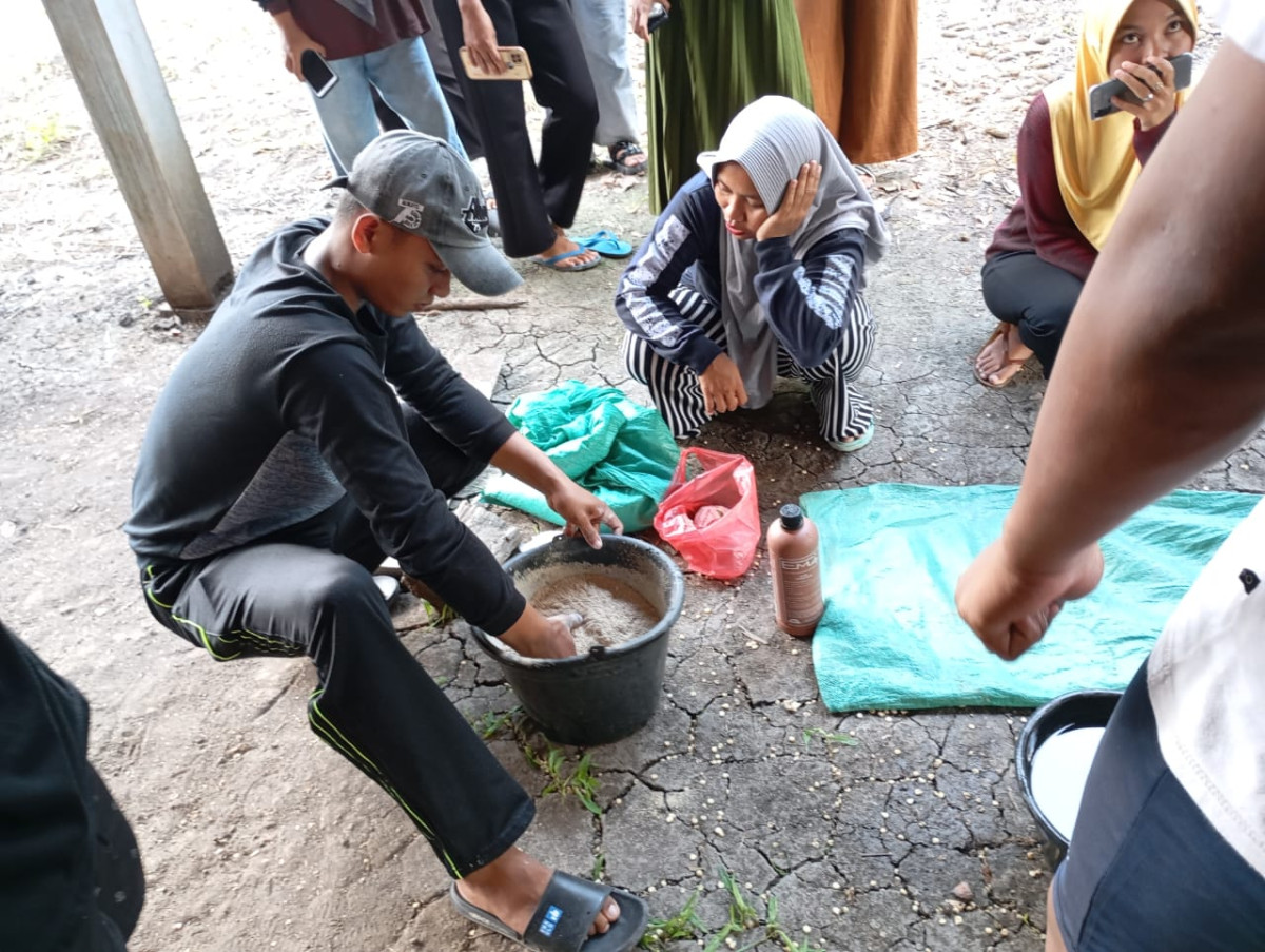 mulai meracik obat atau cairan perangsang tumbuhnya jamur pada janggel jagung