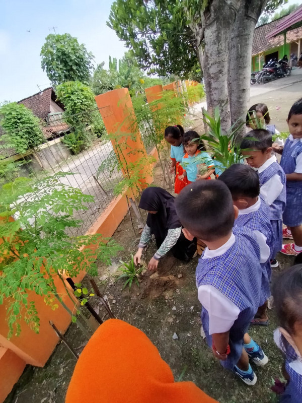 Toga Kelor, Mencegah Stunting Lewat BKB