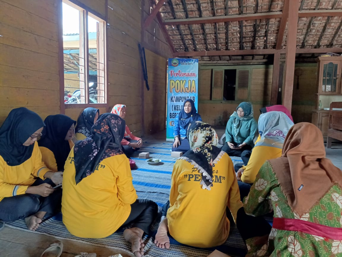 Sosialisasi Penyusunan RKM Kampung KB Margi Rahayu Desa Pelem