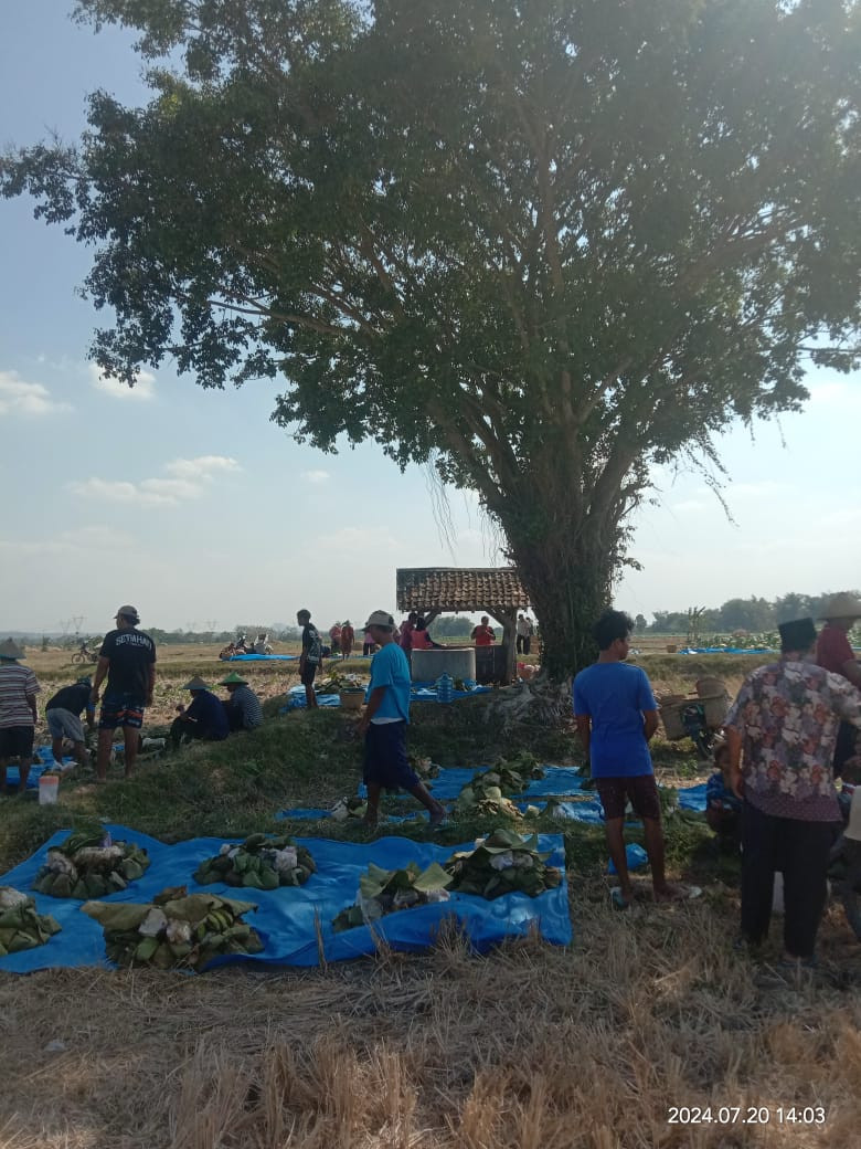 sedekah bumi dukuh Glagah