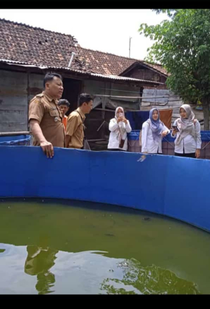 kunjungan Dinas Perikanan Lele