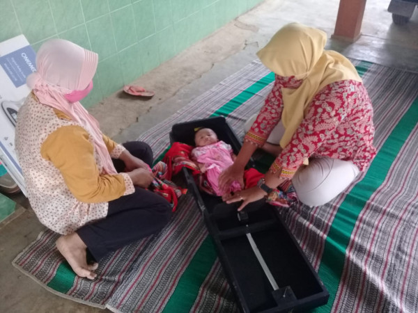 penyuluhan tentang  Makanan pendamping Asi yang sehat dan bergizi