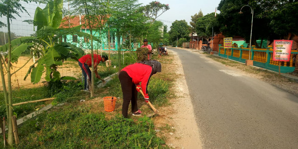 Membersihkan rumput2 di pinggir jalan