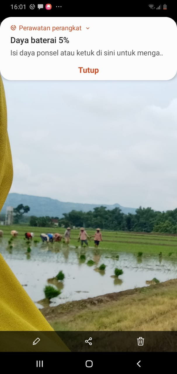 Dokumen menanam padi