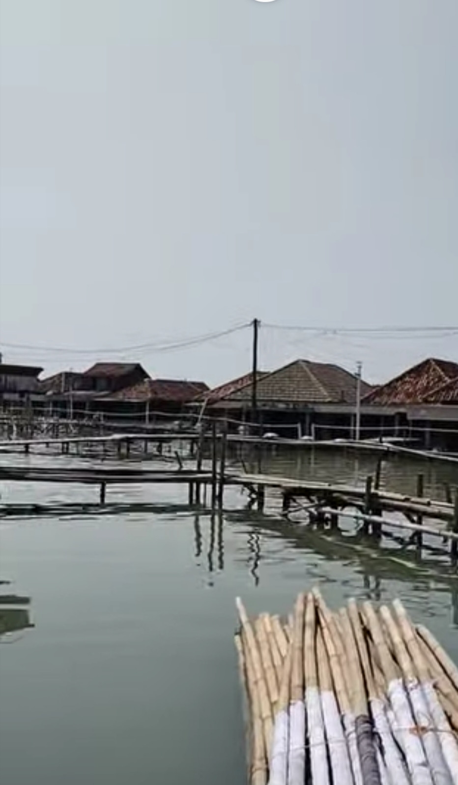 Kondisi Saat Ini Terlihat Jelas Sangat Memperhatinkan Jalan Treck Dukuh Timbulsloko Desa Timbulsloko