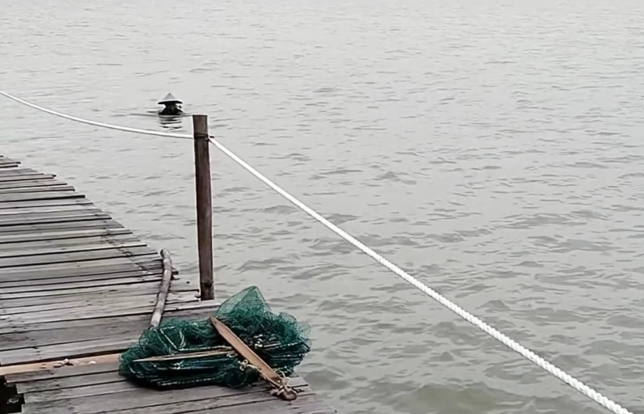 Kegiatan Masyarakat Mencari Hasil Laut Ikan dan Udang Desa Timbulsloko