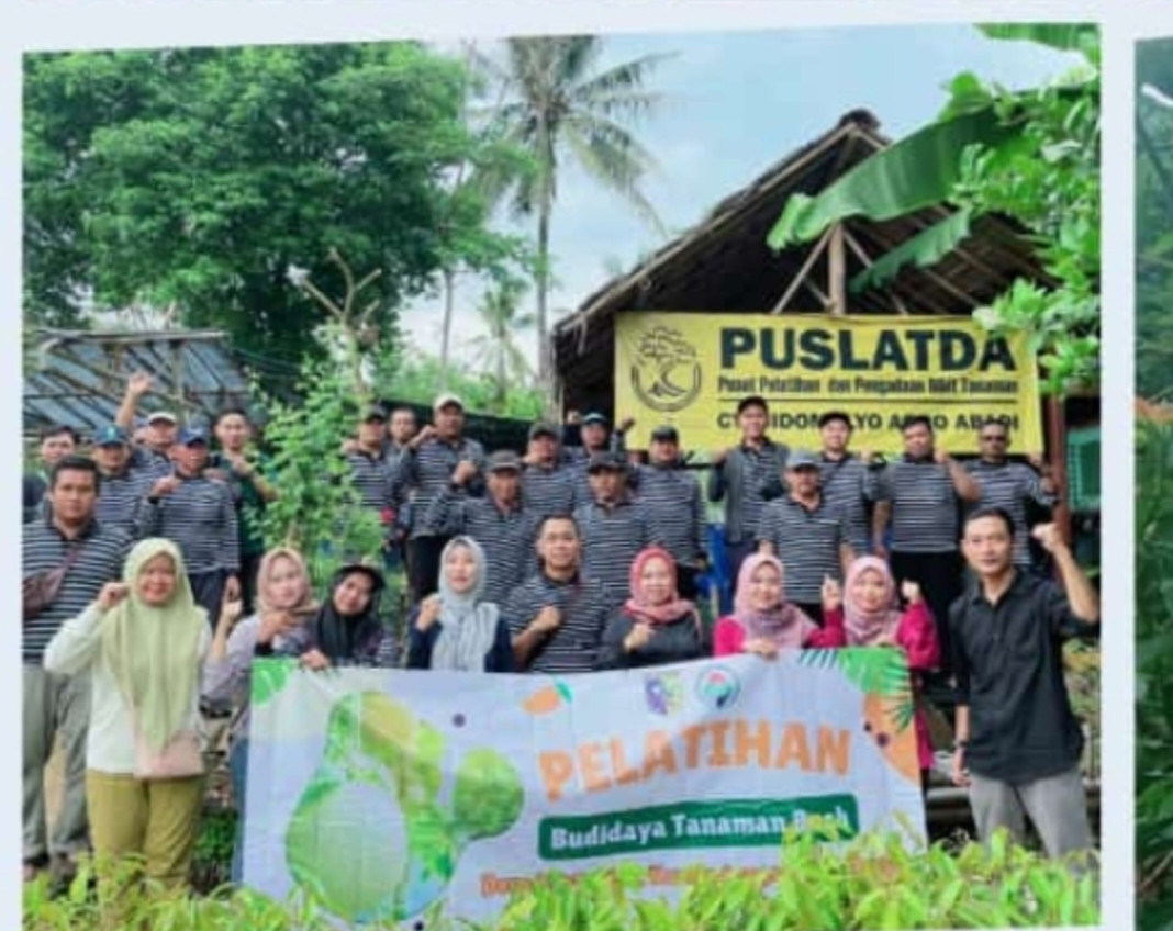 Pelatihan budi daya tanaman buah