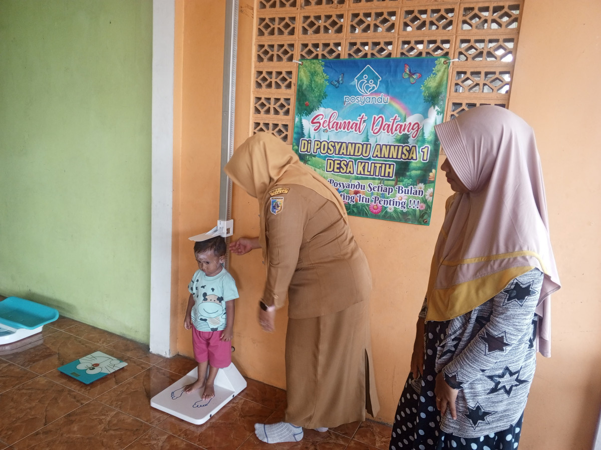 penimbangan  balita