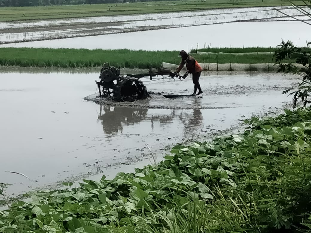 Pengolahan lahan pertanian