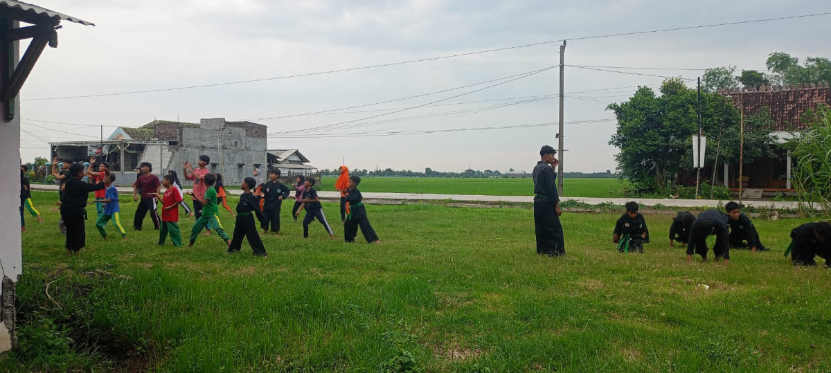 Pencak silat pagar nusa