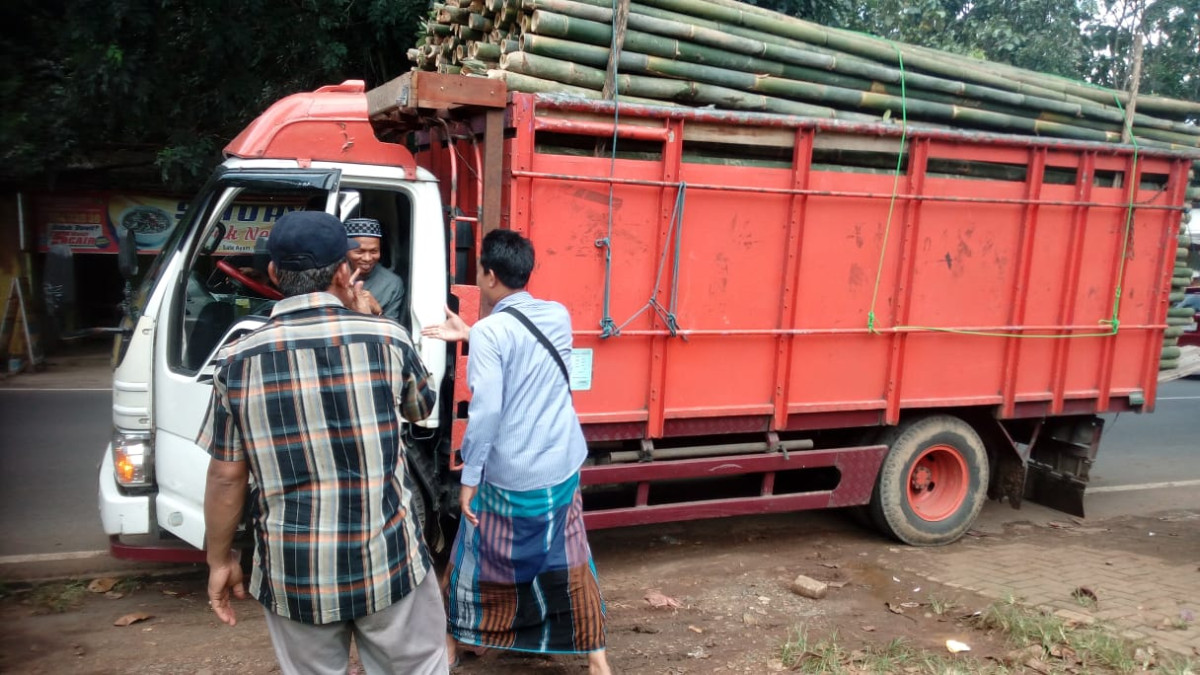 bambu untuk tanggul laut