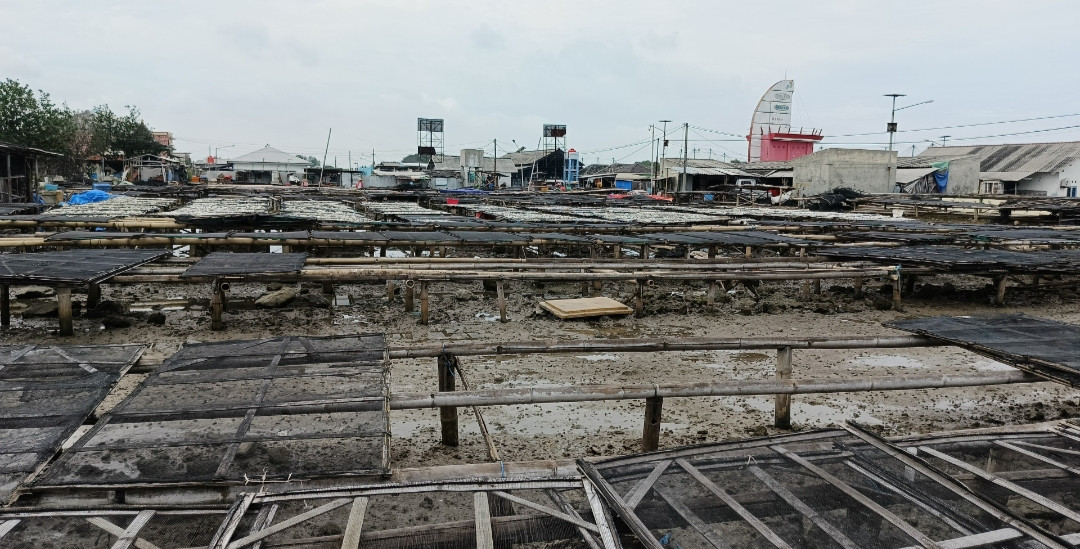 ikan asin