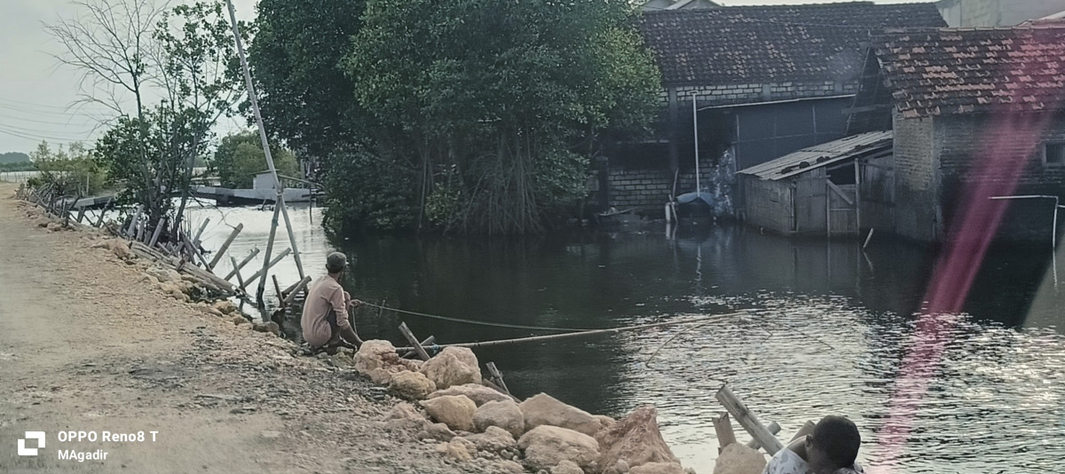 alat tangkap beranjang